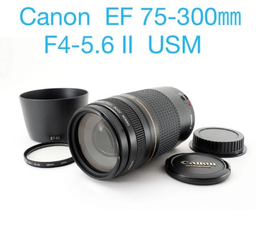 Objectif zoom canon 300 - zoom,