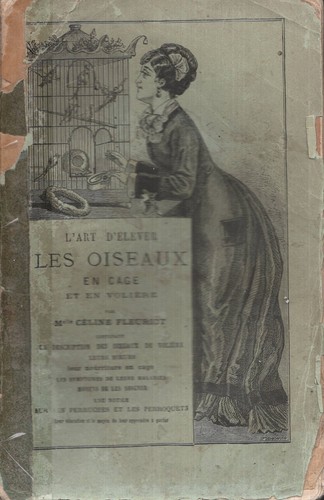 élevage oiseaux cage en - oiseaux, et