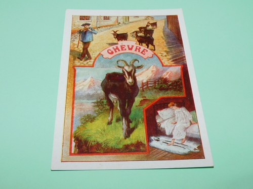 Image ancienne scolaire - -, bon