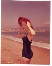 *pin-up transparency original