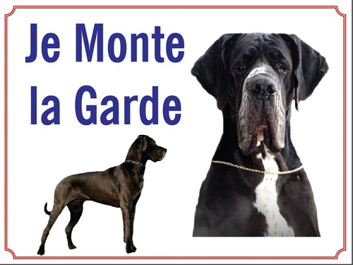Attention chien je monte - chien,,