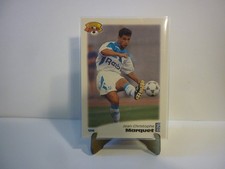 Carte foot panini official - foot,