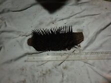 Peigne A Carder Ancien 30 Cm