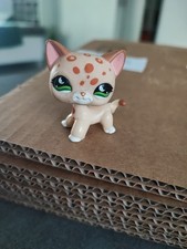 figurine PETSHOP  original  chat europeen short hair 852  pet shop LPS