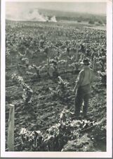 ARBOIS 39 Carte Publicitaire Henri MAIRE Domaine Françoise de MONTFORT 1950-1960