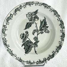 ASSIETTE CREUSE FAIENCE ST
