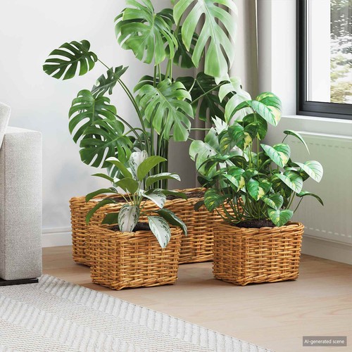 Panier plantation avec - panier,