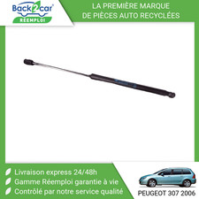 ? VERIN GAUCHE HAYON PEUGEOT 307 SW 2005- ➤8731F8 ?