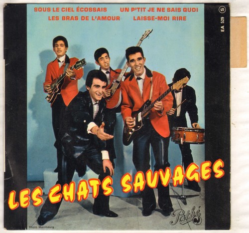 Les chats sauvages sous - les,