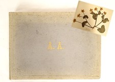 Herbier ancien plantes fleurs