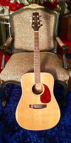 90s takamine jasmine 40 - jasmine, s-40