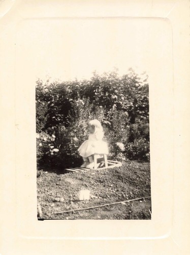 Ancienne photographie fillette - photographie,