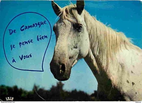 Carte postale animaux - -,