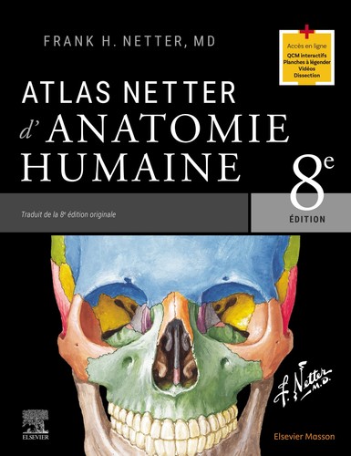 Atlas netter anatomie - atlas, d'anatomie
