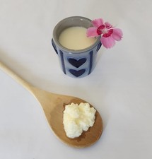 Kéfir de lait artisanal 7g