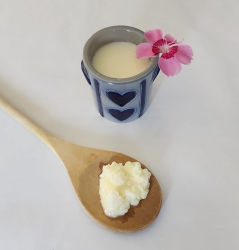 Kéfir lait artisanal - de, 7g
