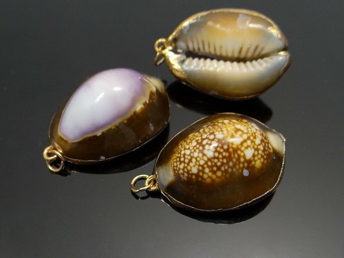 Pendentif kauri coquillage - kauri,