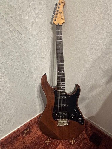 Corps guitare électrique - guitare,