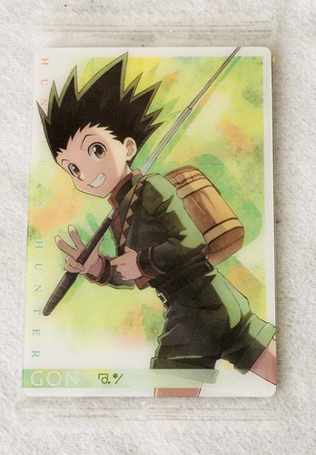 Carte hunter - hunter, itajaga