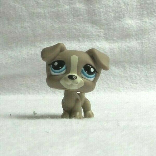 Littlest petshop pet - petshop, shop