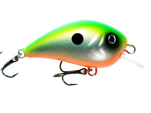 Neuf 2026 hmg - 2026, lures
