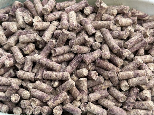 10kg pellets carpe - 10kg,