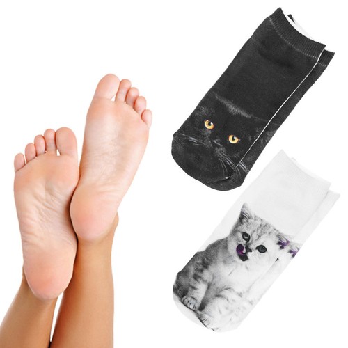 Pairs chaussettes pour chat - pairs,