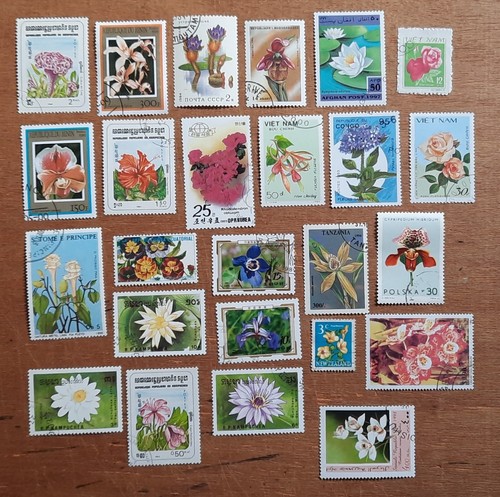Lot 350 thématique 24 - lot, 350 