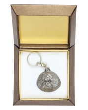 Bichon Frisé, Bichon Bouclé