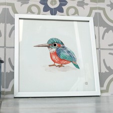 Poster déco Oiseau Martin