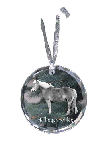 Haflinger fohlen médaille - médaille, en