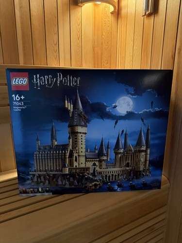 Lego harry potter - potter, 71043