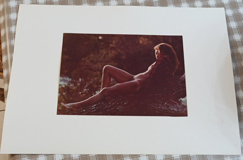 Ancienne grande photo art nu - grande,