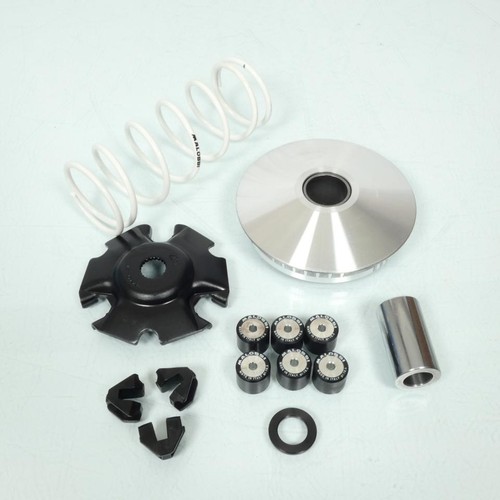 Variateur malossi pour - variateur,