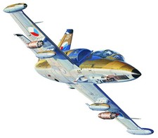 005805 1/48 L-39ZA Albatros