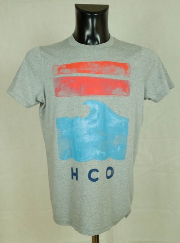 Shirt homme hollister - t,