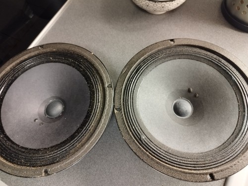 Fullrange siare cpg 8ohm - 21,