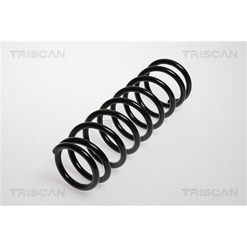 Triscan ressort avant pour - avant,