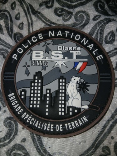 Ecusson bst rennes - rennes, police