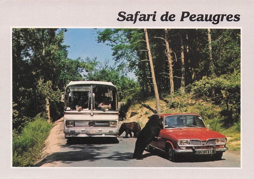 Peaugres safari - peaugres,