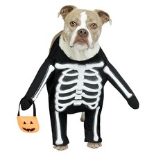 Costume De Chien Squelettique