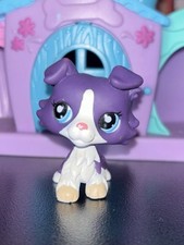 Petshop  Chien Colley   #1676 LPS