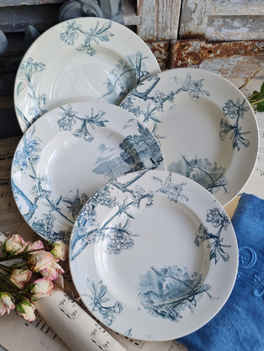 Anciennes assiettes creuses - anciennes,