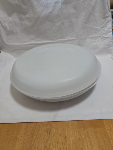 Tupperware veggie snack - snack, dip