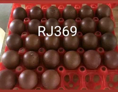 Pure french black copper - french,