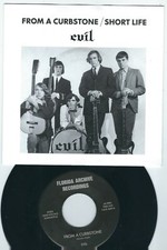 REPRO GARAGE PUNK - Evil FLORIDA ARCHIVE 6601 From a curbstone / Short life /♫