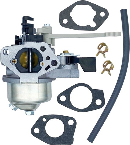 Carburateur pour moteur briggs - moteur,