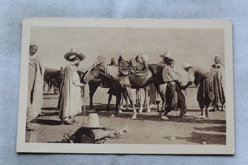 Algérie maréchal ferrant - un,