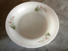 1 PLAT ROND  CREUX ARCOPAL -