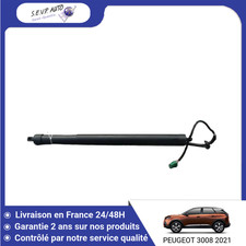 🇫🇷 VERIN HAYON D PEUGEOT
